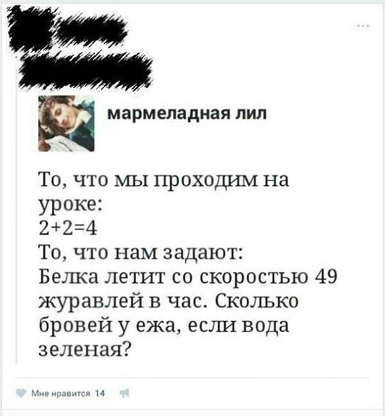 ? ,  ! - 25  2024  11:39