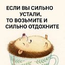 ���� ����, ����� - ��������� 29 ������ 2026 � ������ ������ ��������