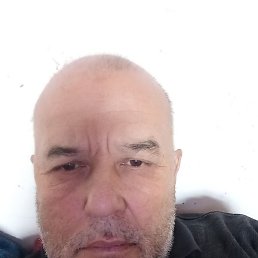 ������� ������, �����, 61 ���