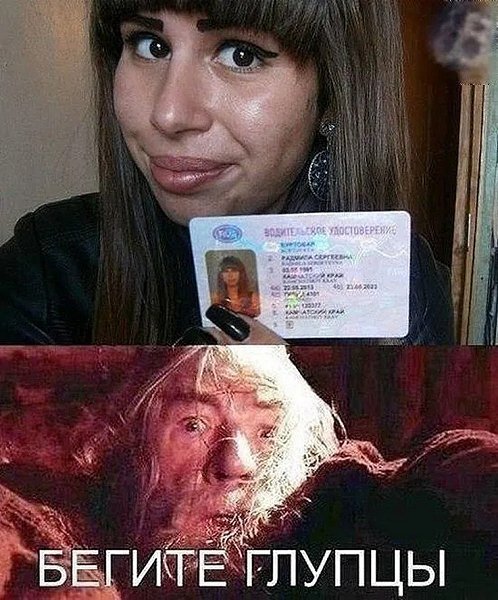 �� ����� - ������������� ������ �1 - 18 ������� 2025 � 16:50