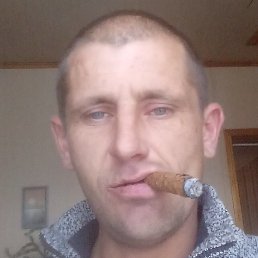 �������, ������, 37 ���