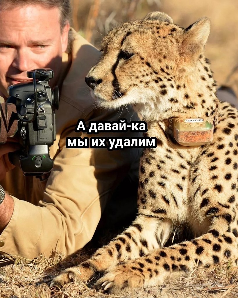 .. - 26  2025  10:21 - 7
