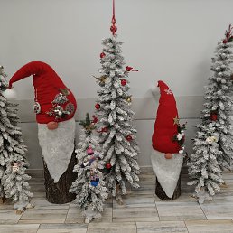 ���� �������, ������, 44 ���� - ��������� 27 ������� 2025