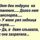���� �������, �����������, 48 ��� - ��������� 10 ������ 2026 � ������ ������ ��������