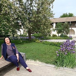 ���� �������, ���������, 54 ���� - ��������� 3 ����� 2026