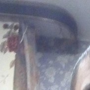 �����, 41 ���, ����