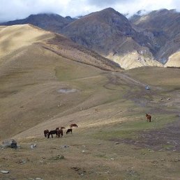 ����, ��������, 33 ����