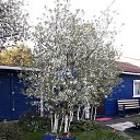 ���� ������, �����-���������, 70 ��� - ��������� 26 ��� 2024 � ������ �����