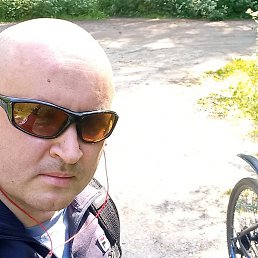 �������, �����-���������, 42 ����