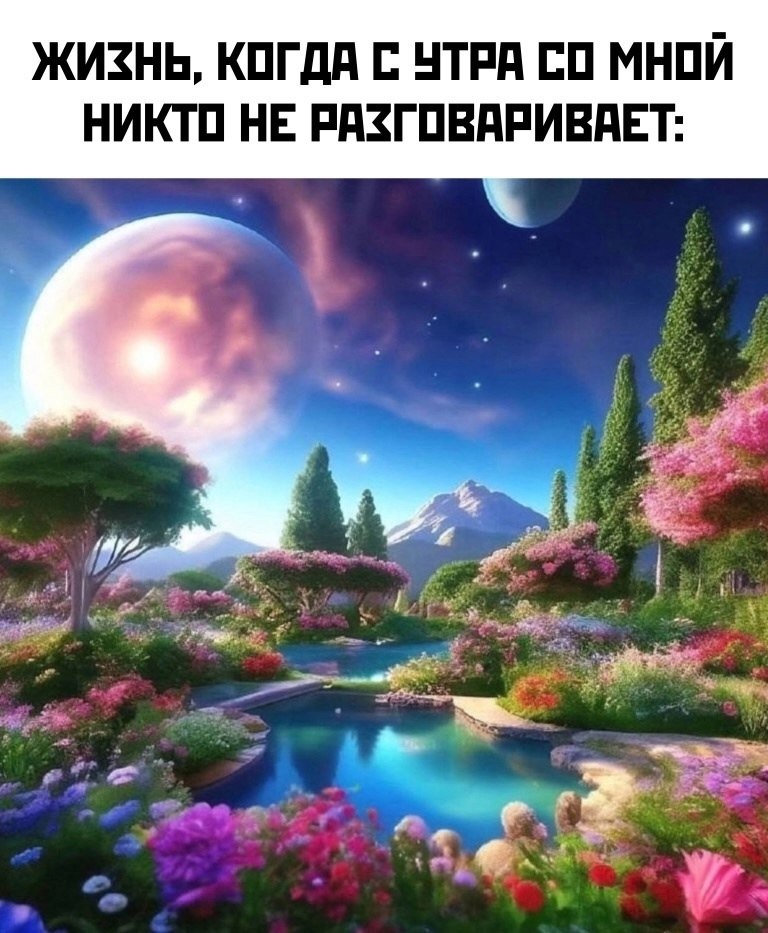   - 17  2025  19:18