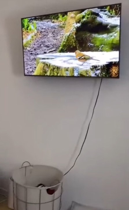     ,     ...