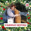 ���� ������, ������� ������, 56 ��� - ��������� 23 ������ 2026 � ������ ���� ����������
