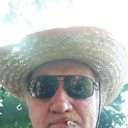 , 67 , 