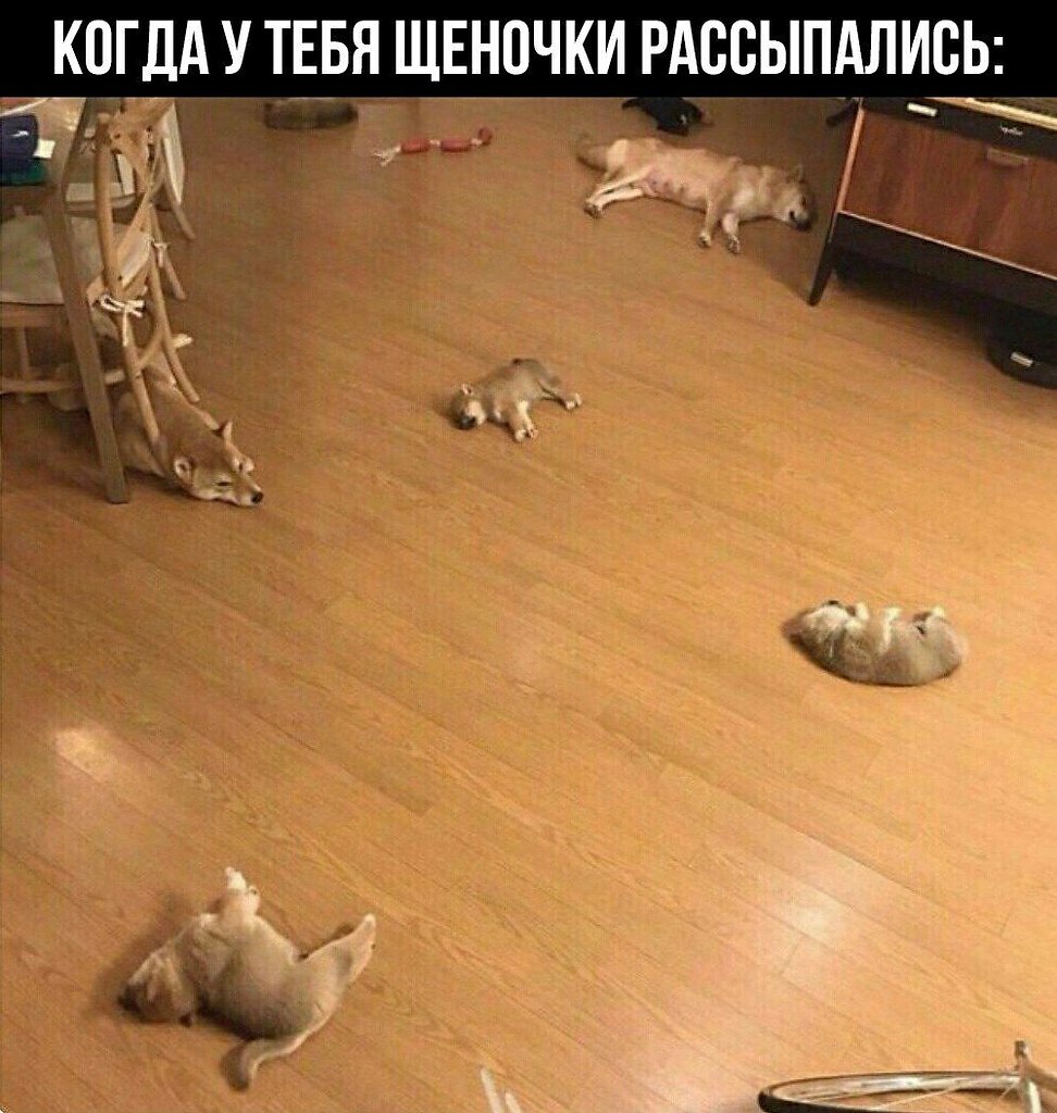    - 6  2023  17:23