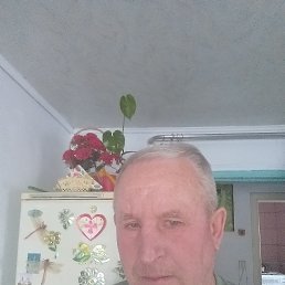 , 53, 