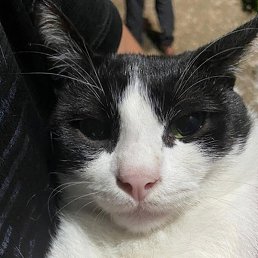 ������, ������, 25 ���