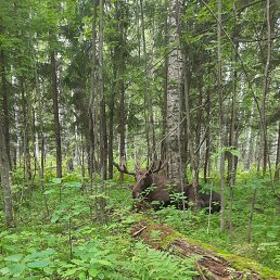 ���� ������, ������� - ��������� 16 ������� 2025