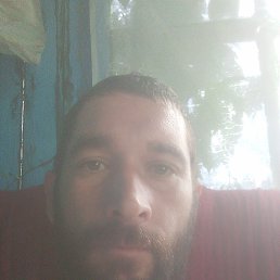 , 33 , 