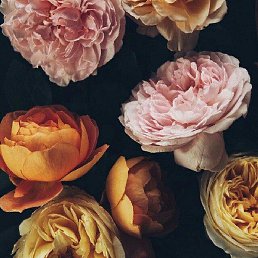 �����, ������, 38 ���