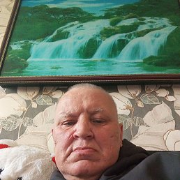 , 53 , 