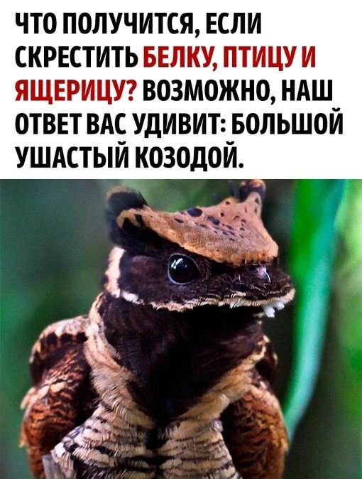 �����o� �� �o�o�� �a �pa�o����o�! - 2