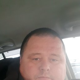 ���������, 41 ���, ����������