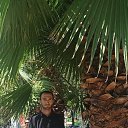 ���� �����, ���������, 35 ��� - ��������� 2 �������� 2024 � ������ ���� ����������