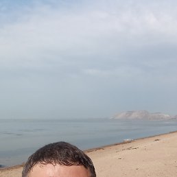 , 37, 
