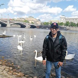 , 36, 