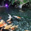 ���� ���� � ������, ����, 43 ���� - ��������� 5 ������ 2024 � ������ ���� ����������