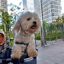 ���� �������, ������, 48 ��� - ��������� 25 ������ 2025