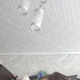 �������, 38 ���, �����������