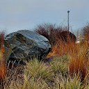 ���� Vidas, ��������, 64 ���� - ��������� 4 ������� 2025 � ������ ������ ��������