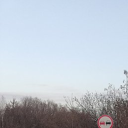 Фото Роман, Новосибирск, 18 лет Роман, Новосибирск, 18 лет