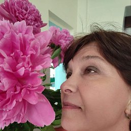 , 58, 