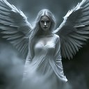  Ambassador, , 41  -  23  2025    