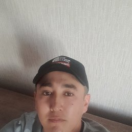 , 29, 