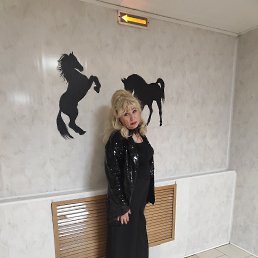 , 24, 