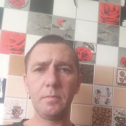 , 43, 