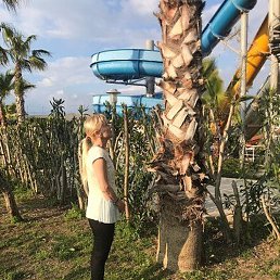 ����, ������, 59 ���