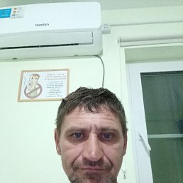 , 41, 