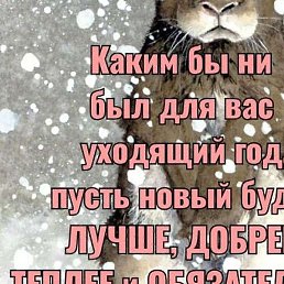 �������, �����, 55 ���