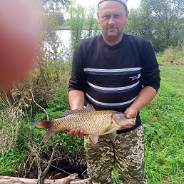 ���� �����, ����, 44 ���� - ��������� 17 ������ 2026