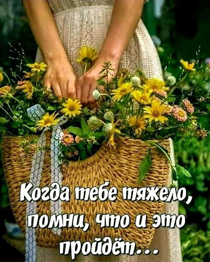   ,    . - 15  2025  21:17 - 2
