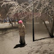 �����, 26 ���, ����������