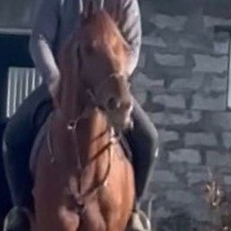 �����, ������, 45 ���