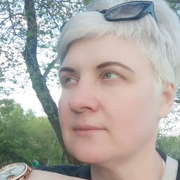 �������, ����������, 43 ����