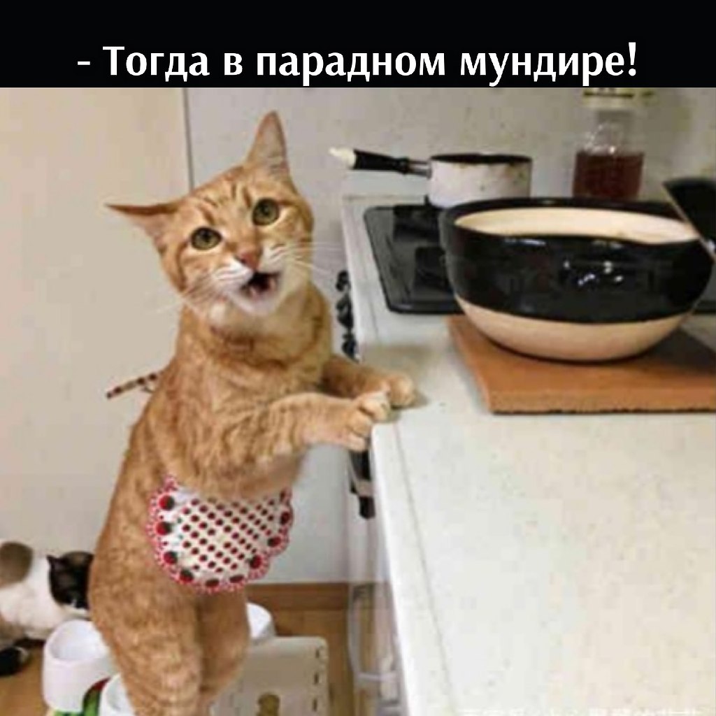       - 29  2025  17:34 - 4