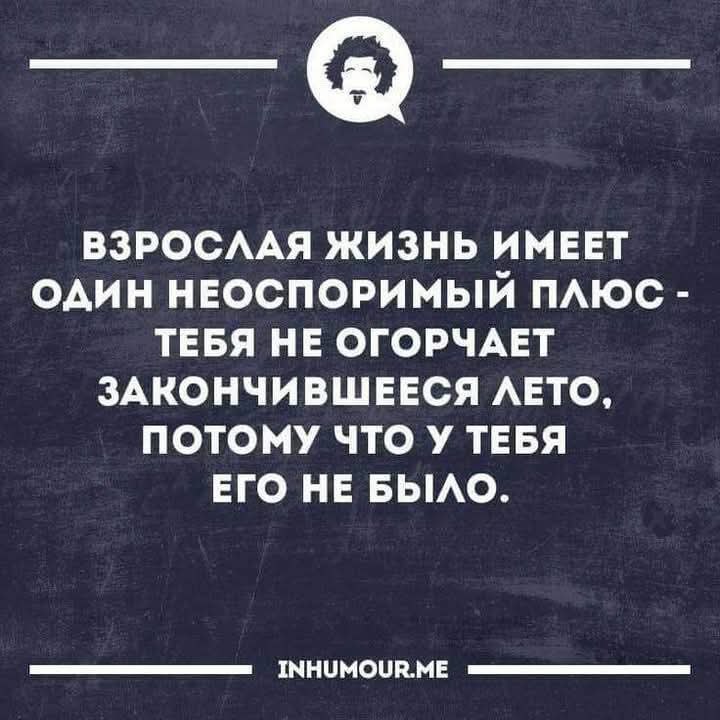 X.x. - 19  2025  19:28