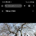 ���� �����, ����, 38 ��� - ��������� 27 ���� 2025 � ������ ���� ����������